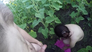 Русская дама в солнцезащитных очках отсасывает партнеру среди поля