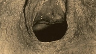 Dark Lantern Entertainment представляет 'Vintage Closeups' из My Secret Life, The Erotic Confessions of a Victorian English Gentleman